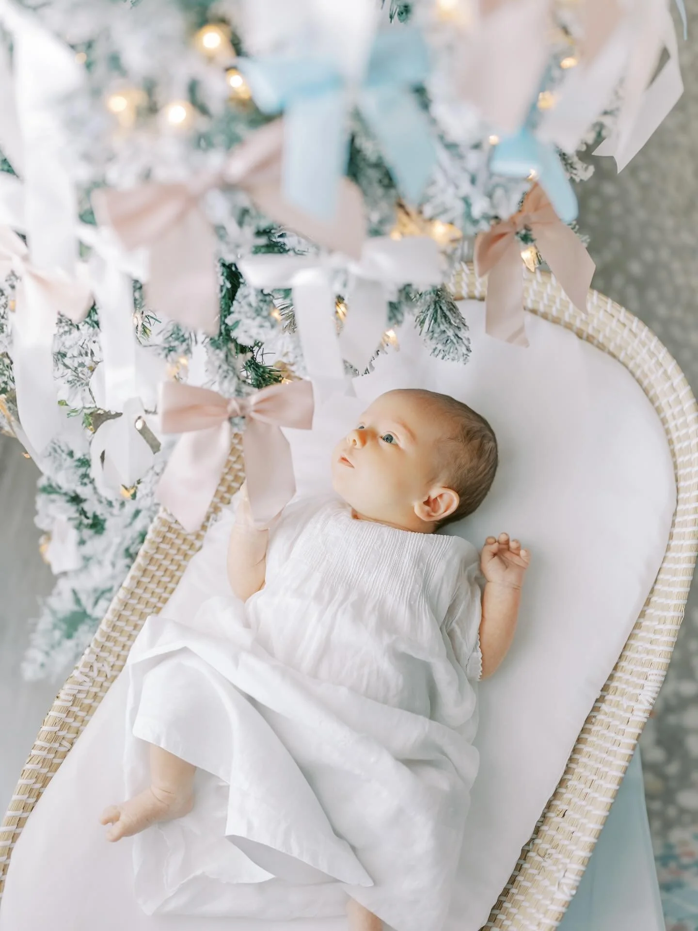 I&rsquo;m pretty sure I will revisit this newborn session year after year because it so perfectly encapsulates the magic of the season. Like, seriously, does it get any sweeter? 🎀🎄🤍