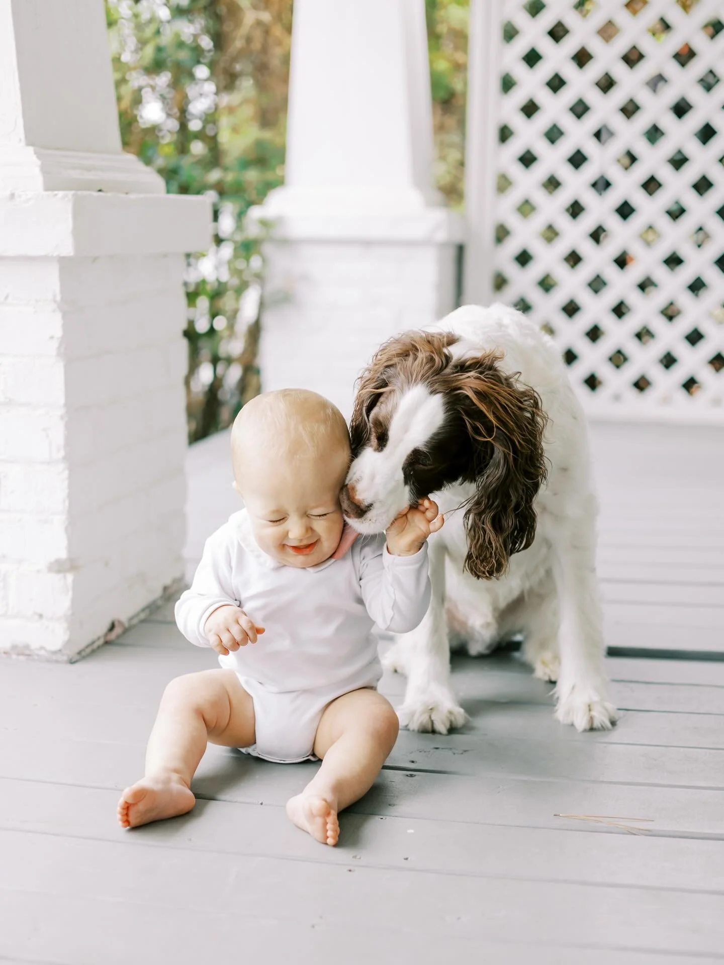 Now this is what I call a happy Friday. 🤍🐾