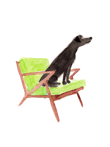 labby.png