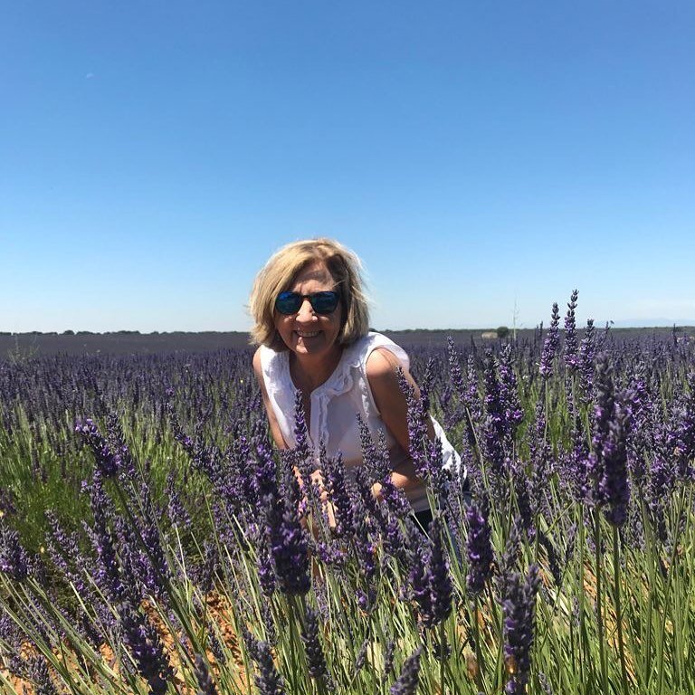 Spain&rsquo;s lavender fields.