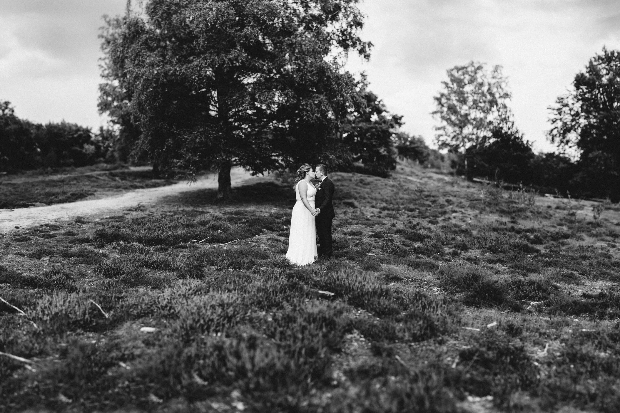A9B03423-Pano.jpg