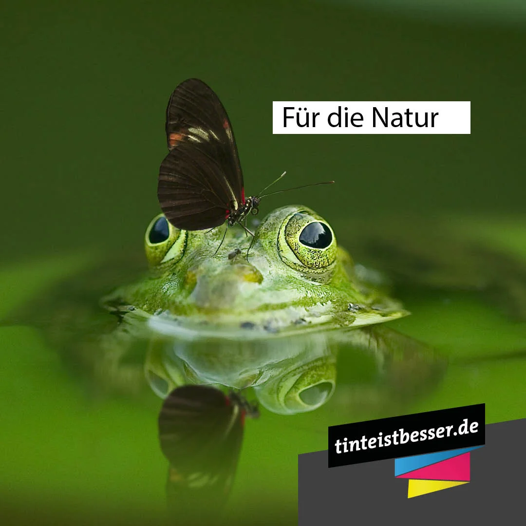 Gesundheit3.jpg
