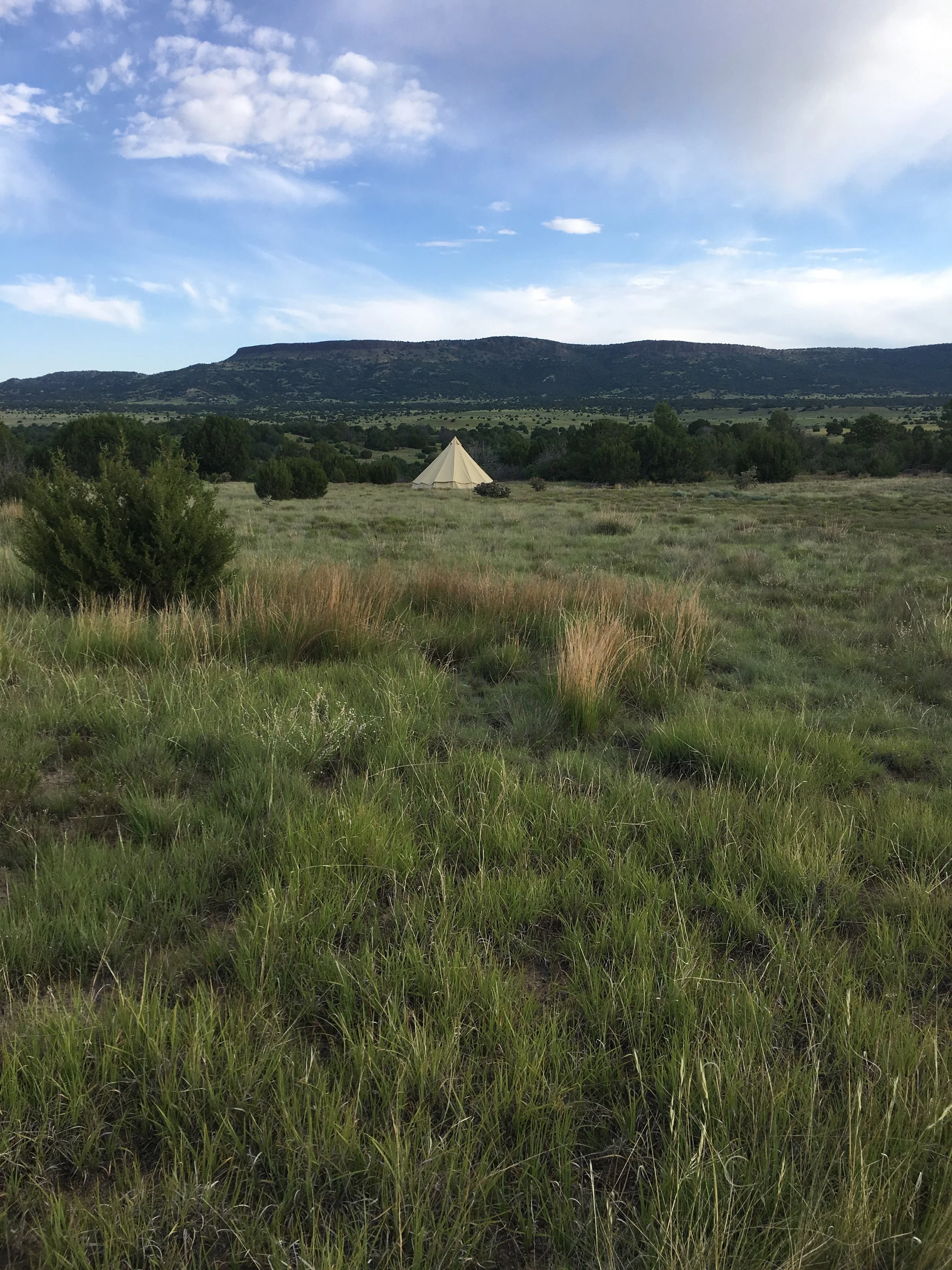 Glamping Experience at Louden Ranch
