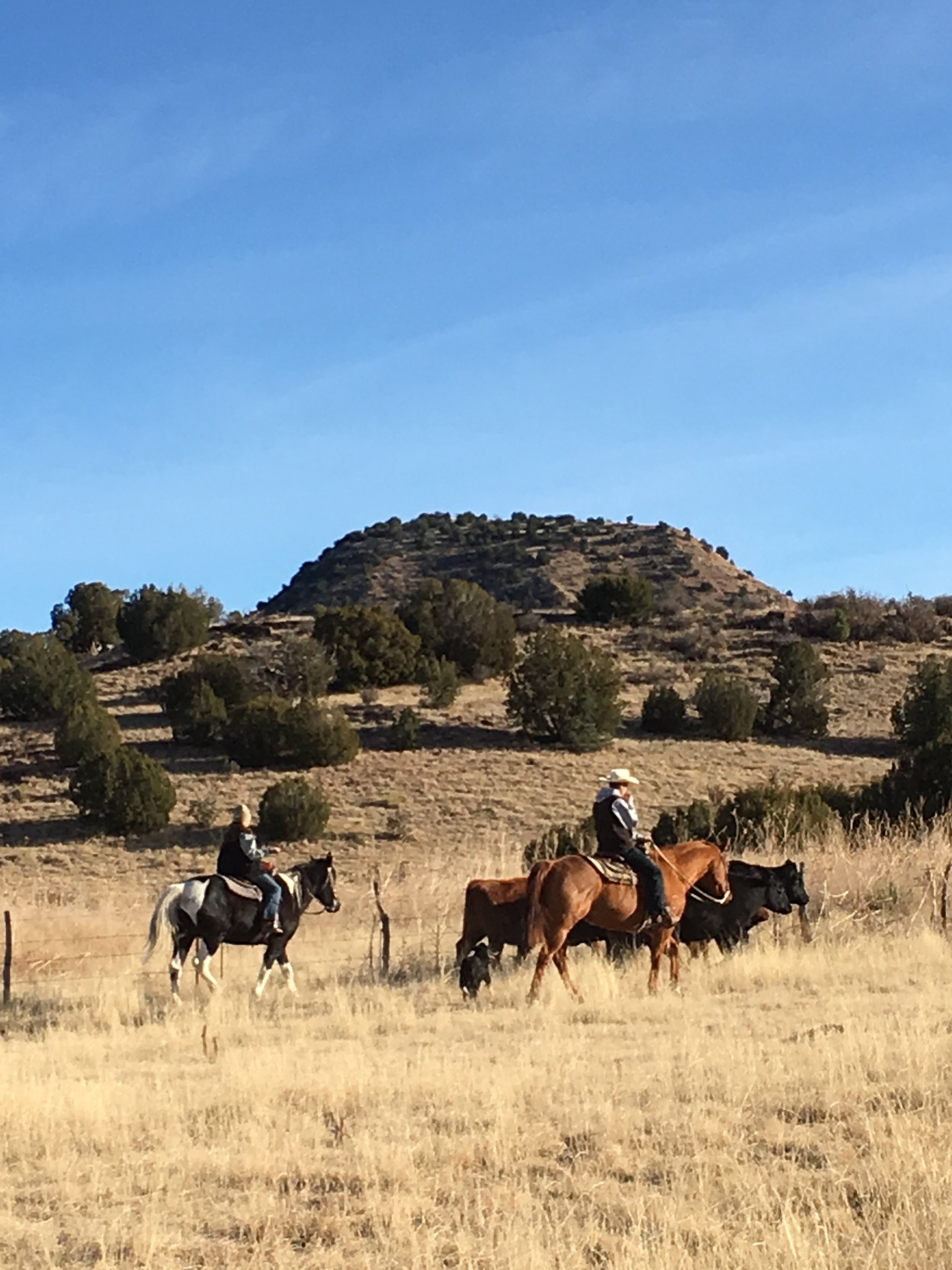 The Shortgrass Prairie.....