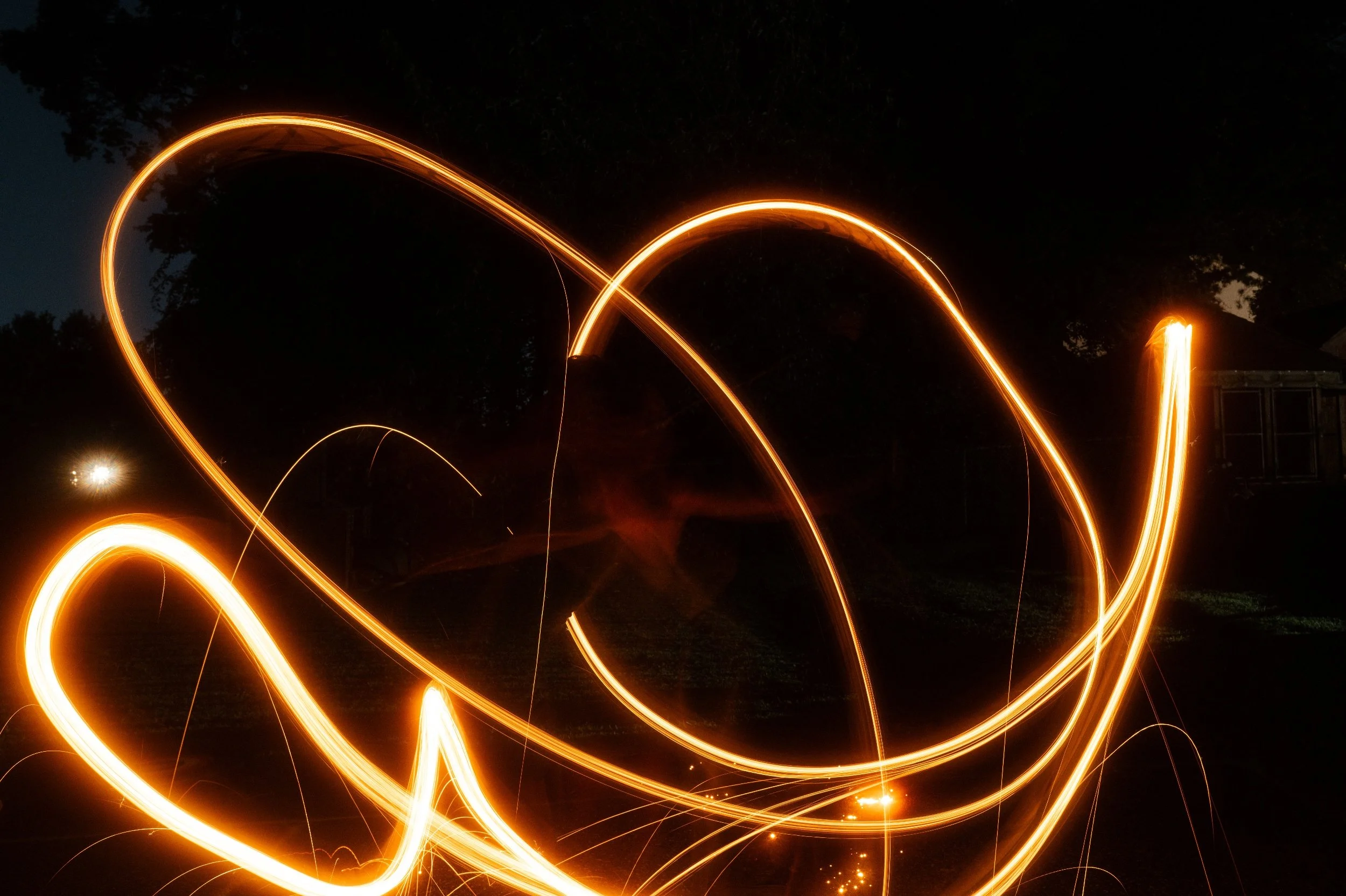 processed_1000002087.jpg