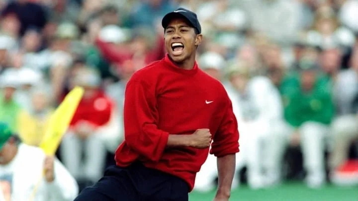 tiger 97.jpg