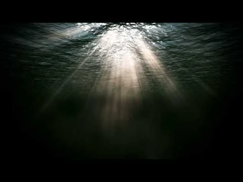 Madison placeholder video