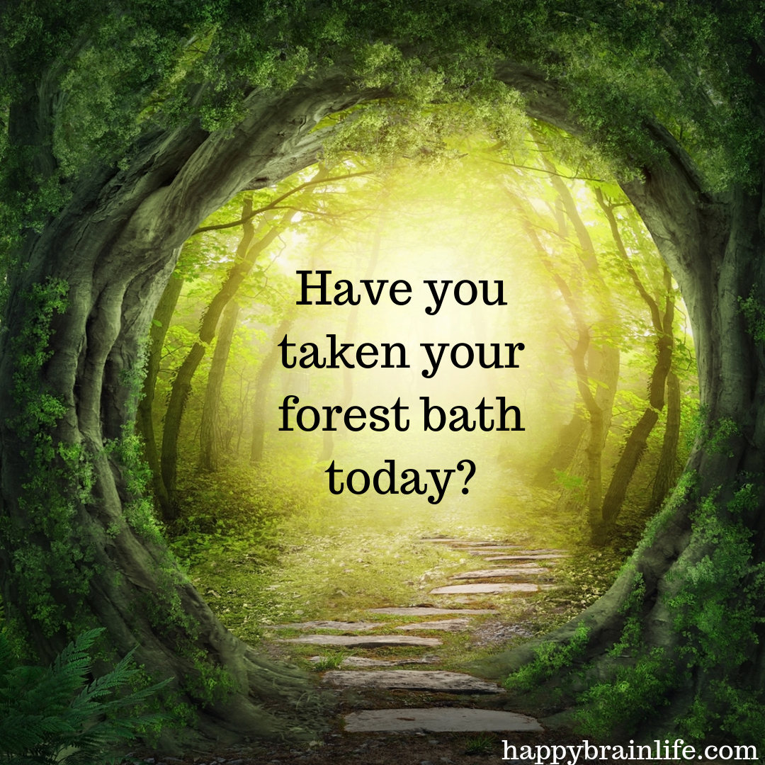 Have you taken your forest bath today?