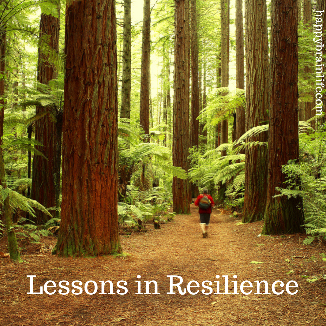Lessons in Resilience