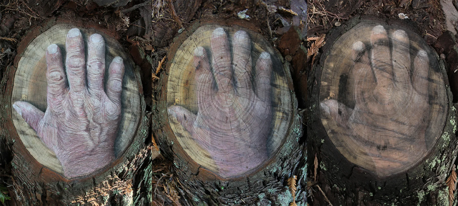 Hand Transition (over 6 months) - for web.jpg