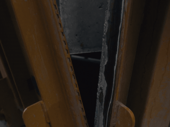 Adobe Express - planter.gif