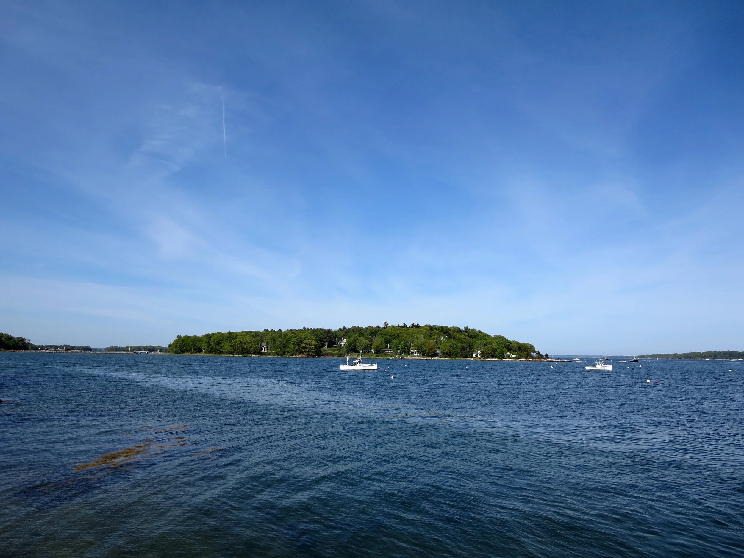 AdobeStock_213140529.jpeg