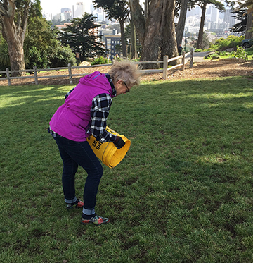 Alamo Square Park