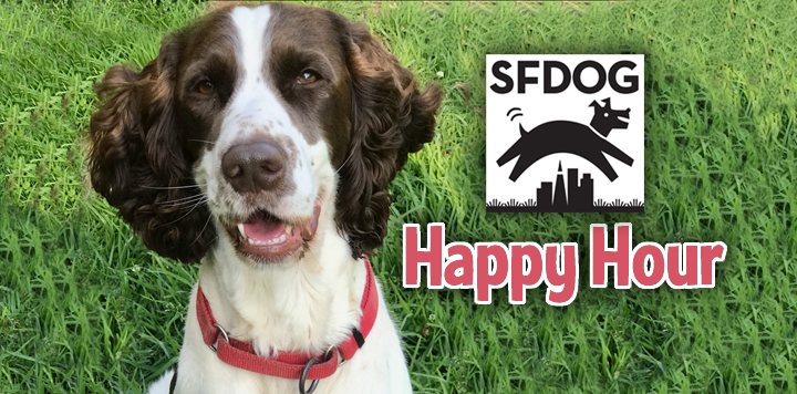 Happy Hour with SFDOG