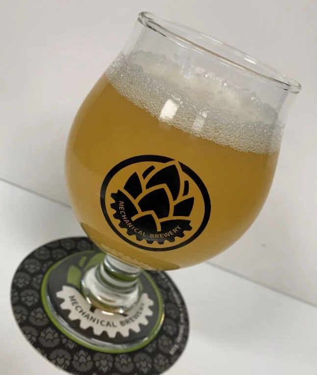 Glasses Tulip w Beer Back.JPG