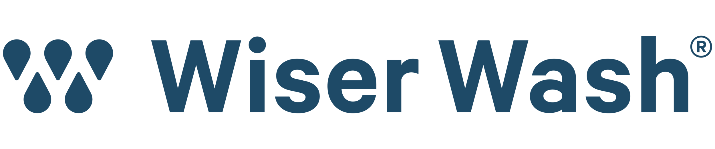 Wiser Wash logo-01.png