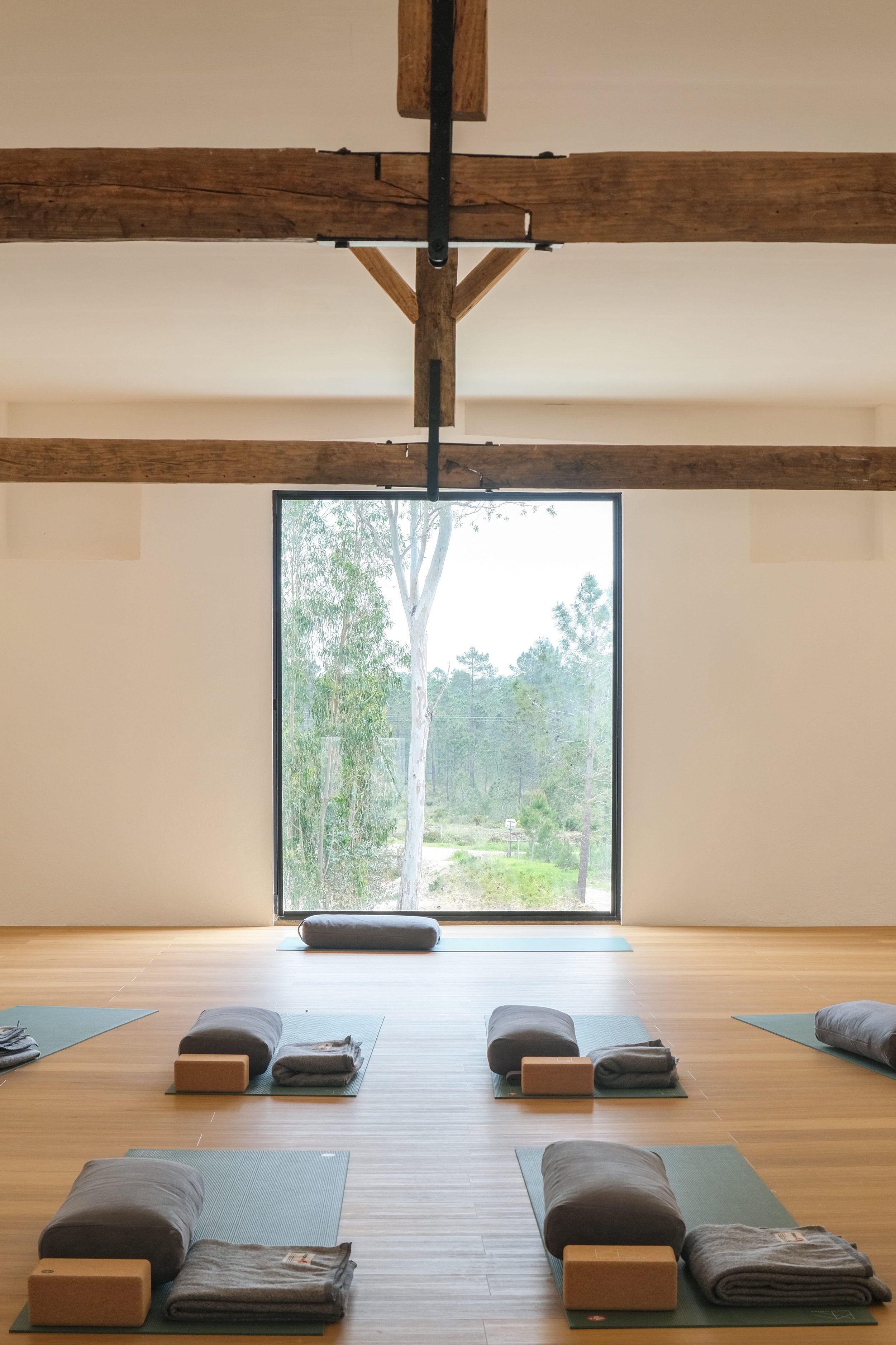 CNF_yoga_3.jpg