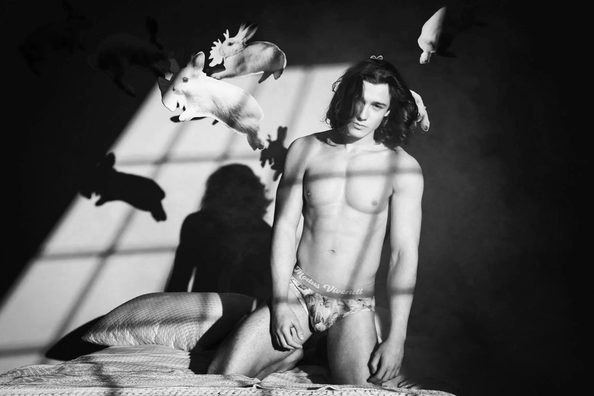 MODUS VIVENDI LAUNCH ROMANCE