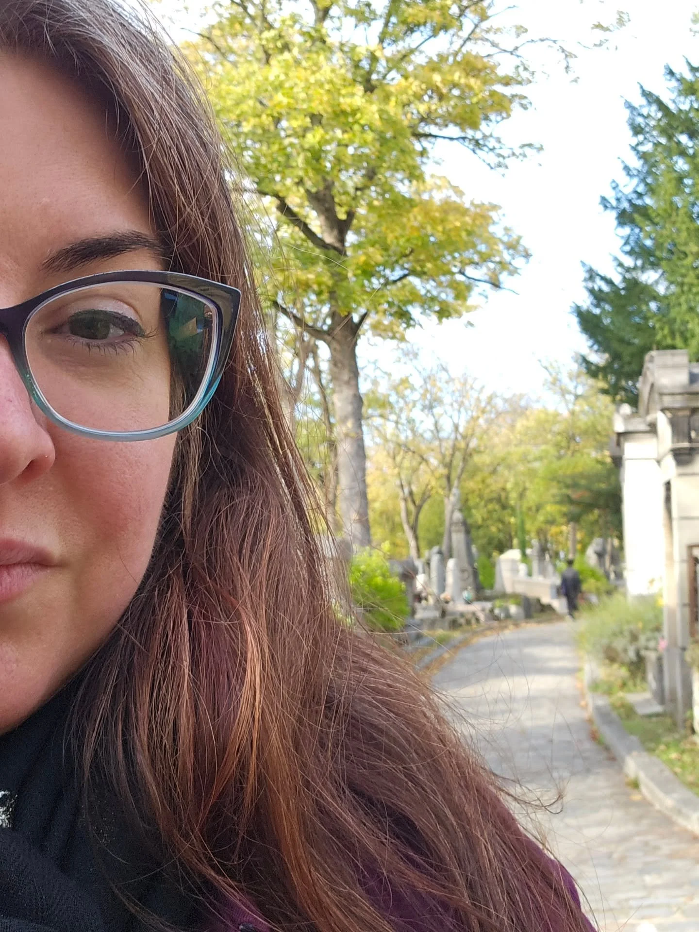 &quot;How do you celebrate good news?&quot;

I visit historic graveyards and wander the streets of the 💀

I didn't meet any ghosts, though. Maybe next time.

You know you've found your people when your friend @nimuedreams takes a train into Paris to