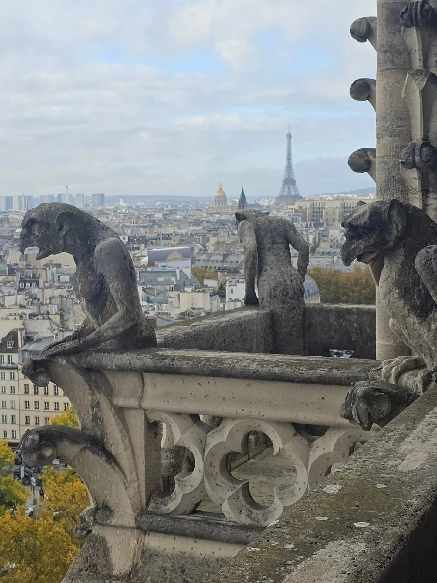 On my last full day in Paris I toured the towers of Notre Dame and met some gargoyles &amp; chimera 💙