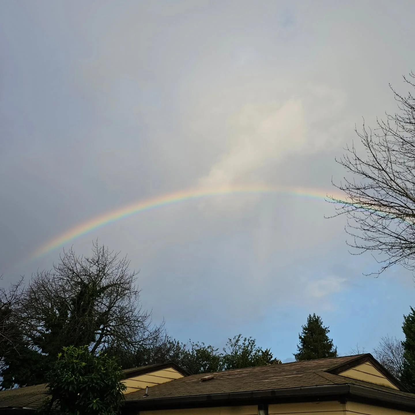 It is always a good day when a rainbow is involved 🌈