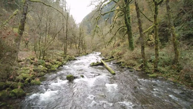 Yakub Films : Drone Reel