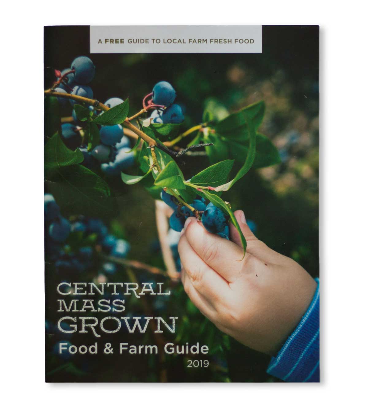 CMG_catalog_Photo_web.jpeg