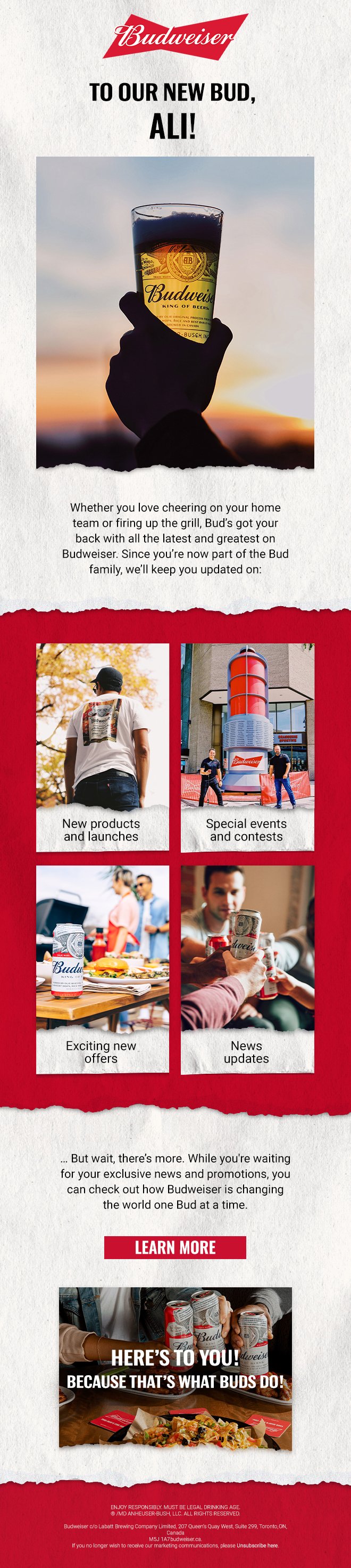 EMAIL DESIGN - BUDWEISER
