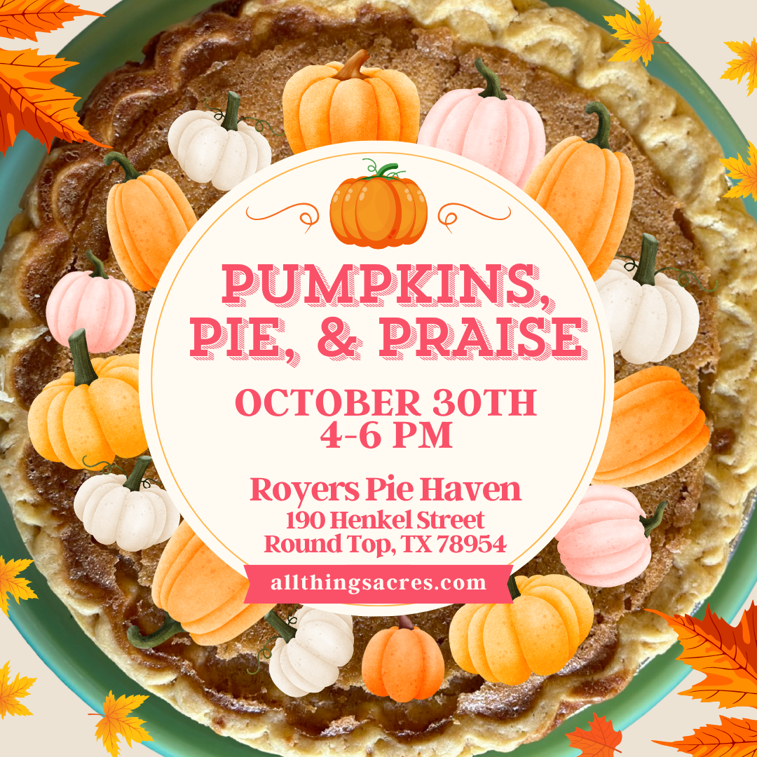 pumpkin patch.png