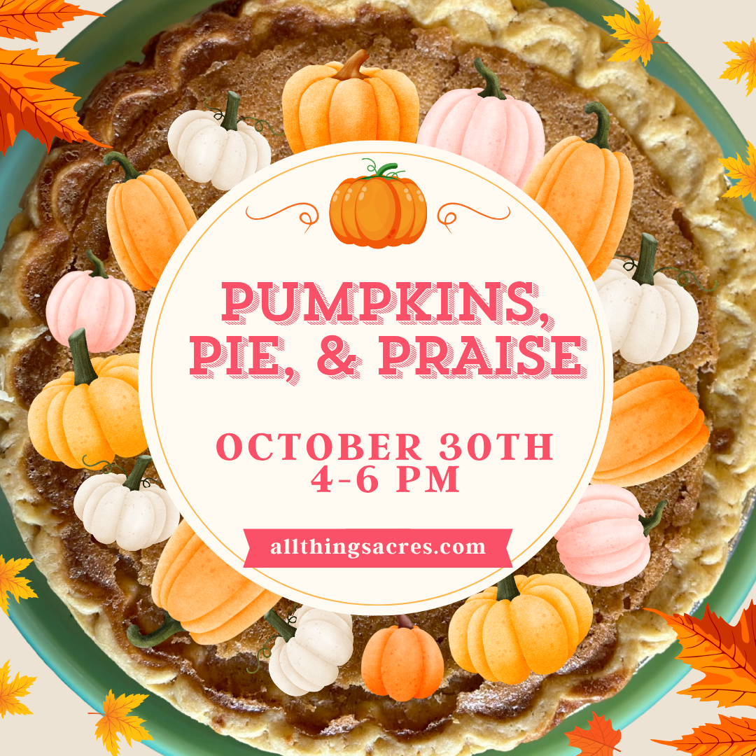 pumpkin patch.png