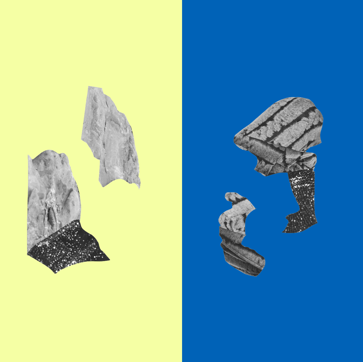 Screen Shot 2022-02-16 at 12.19.28 PM.png