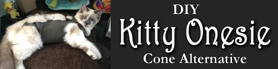 Kitty Onesie.jpg