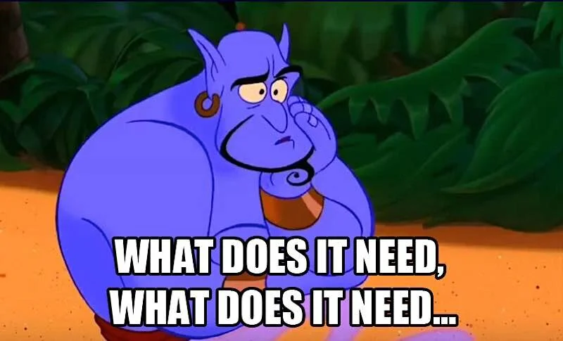 WHAT DOES IT NEED.jpg