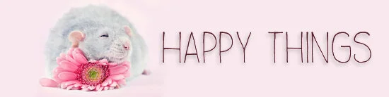 Happy things Rat.jpg