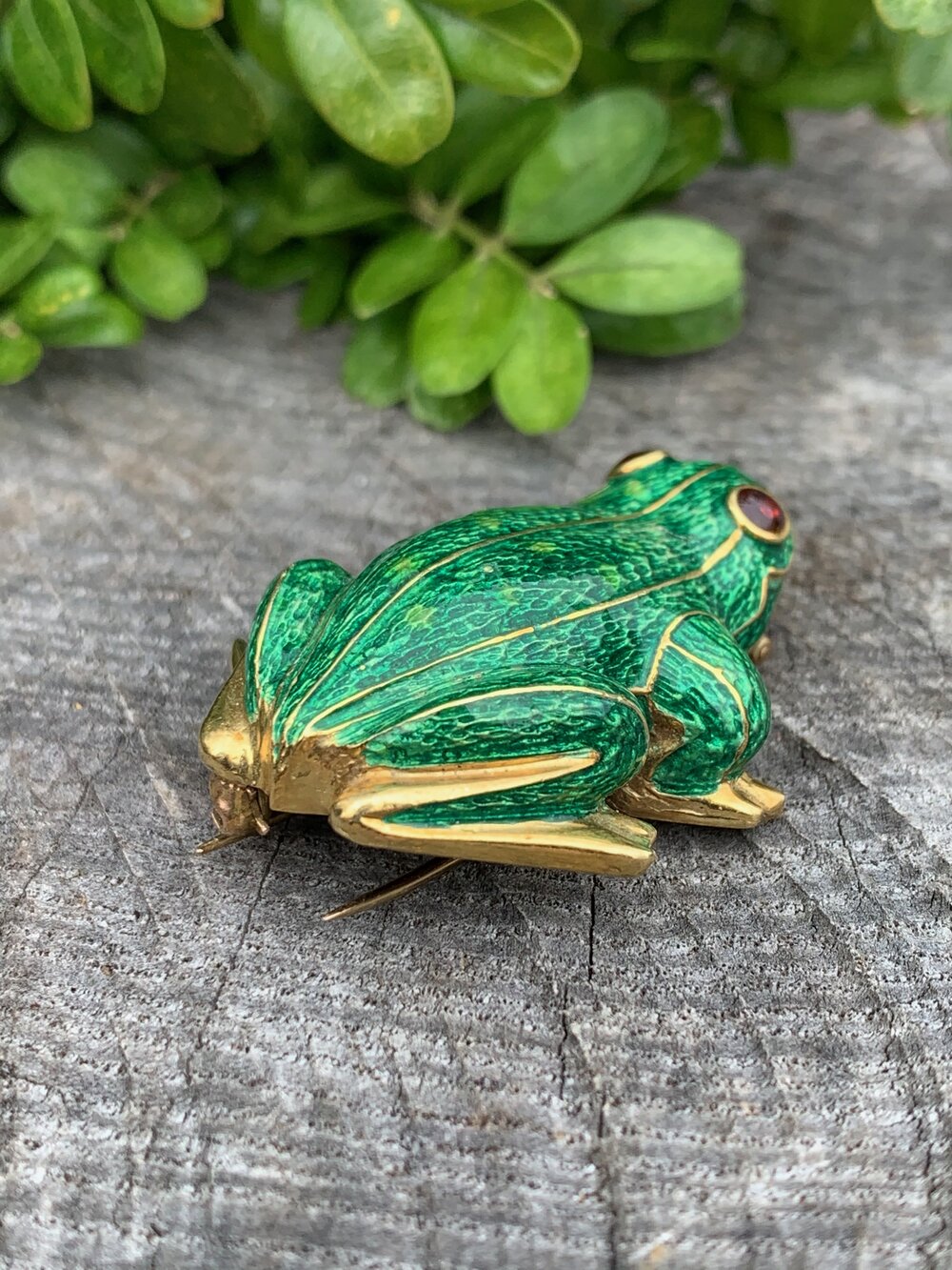 Golden Frog - Enamel Pin
