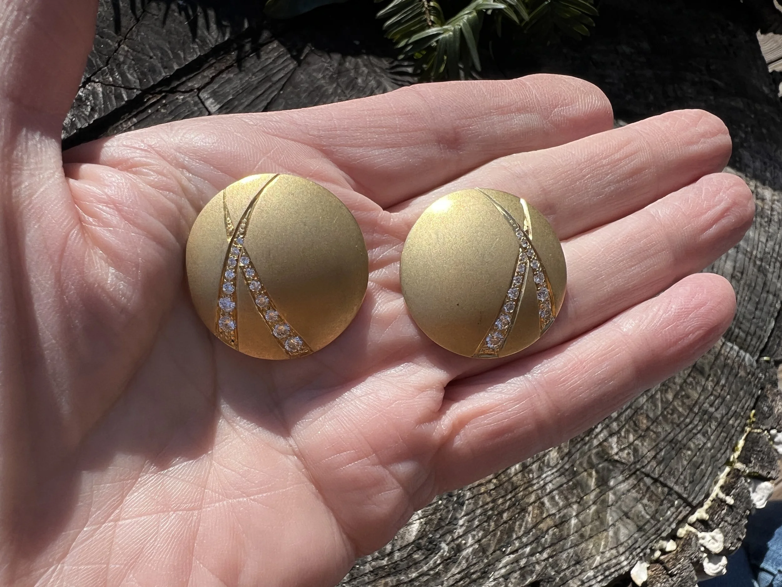 IMG_8764.JPG