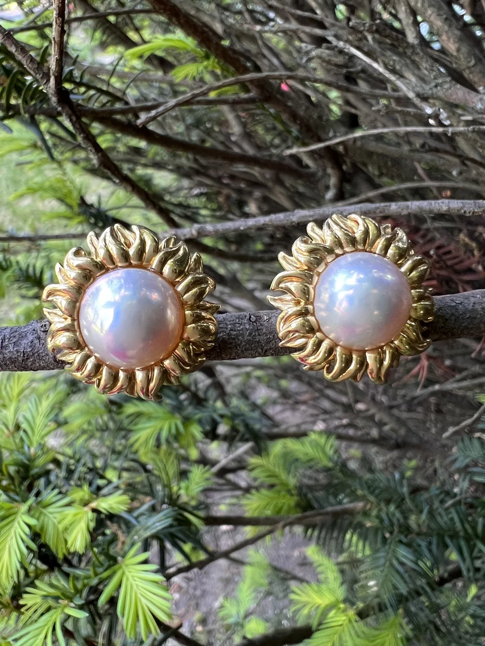 Tiffany Co 18k Yellow Gold Mabe Pearl Earrings — Antique Jewelry NYC