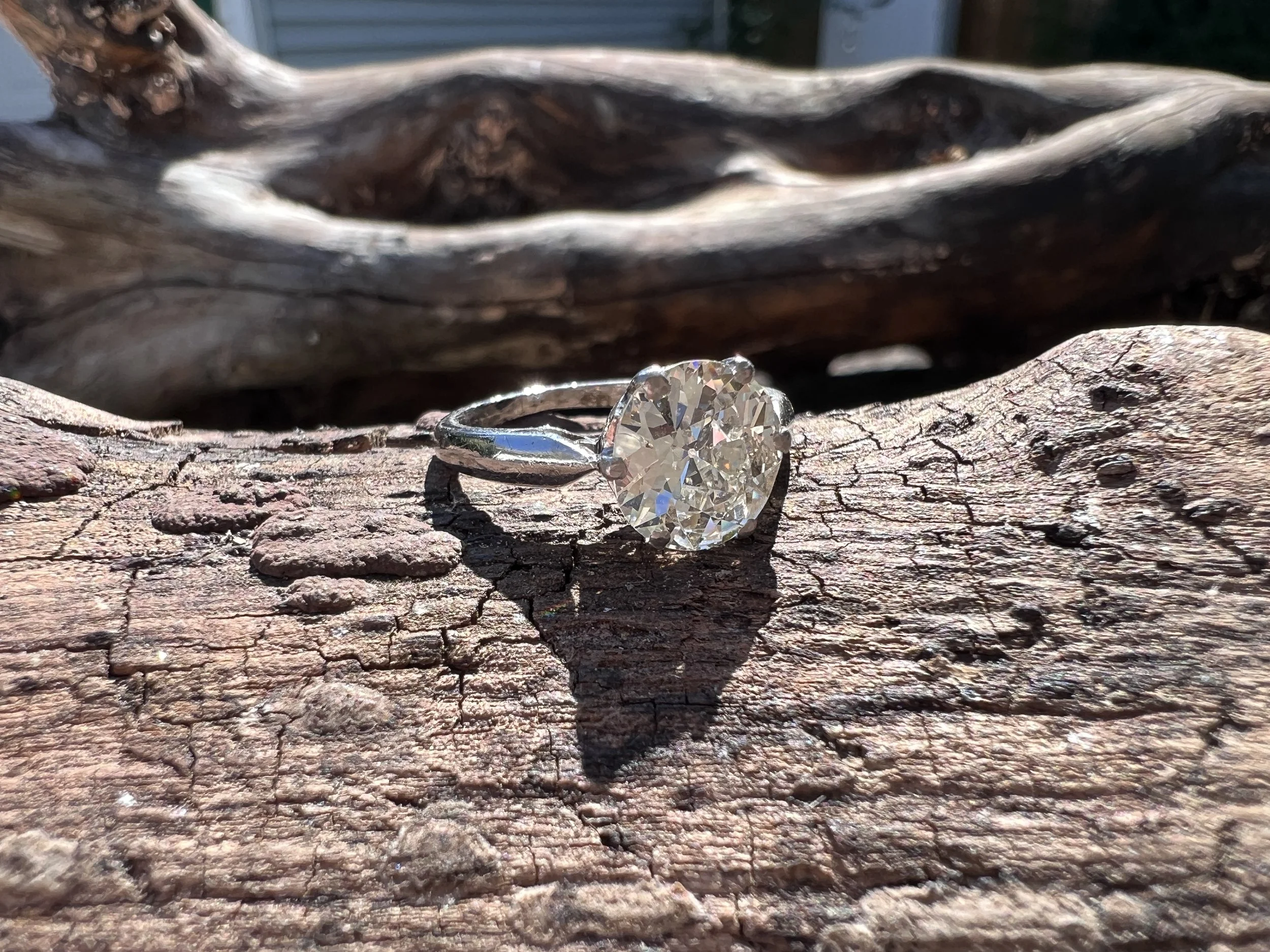 IMG_9678.JPG