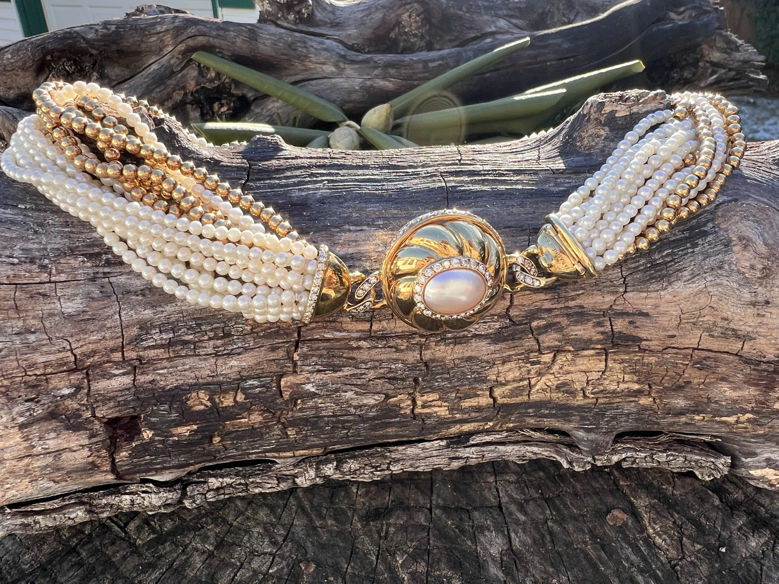 IMG_4184.JPG