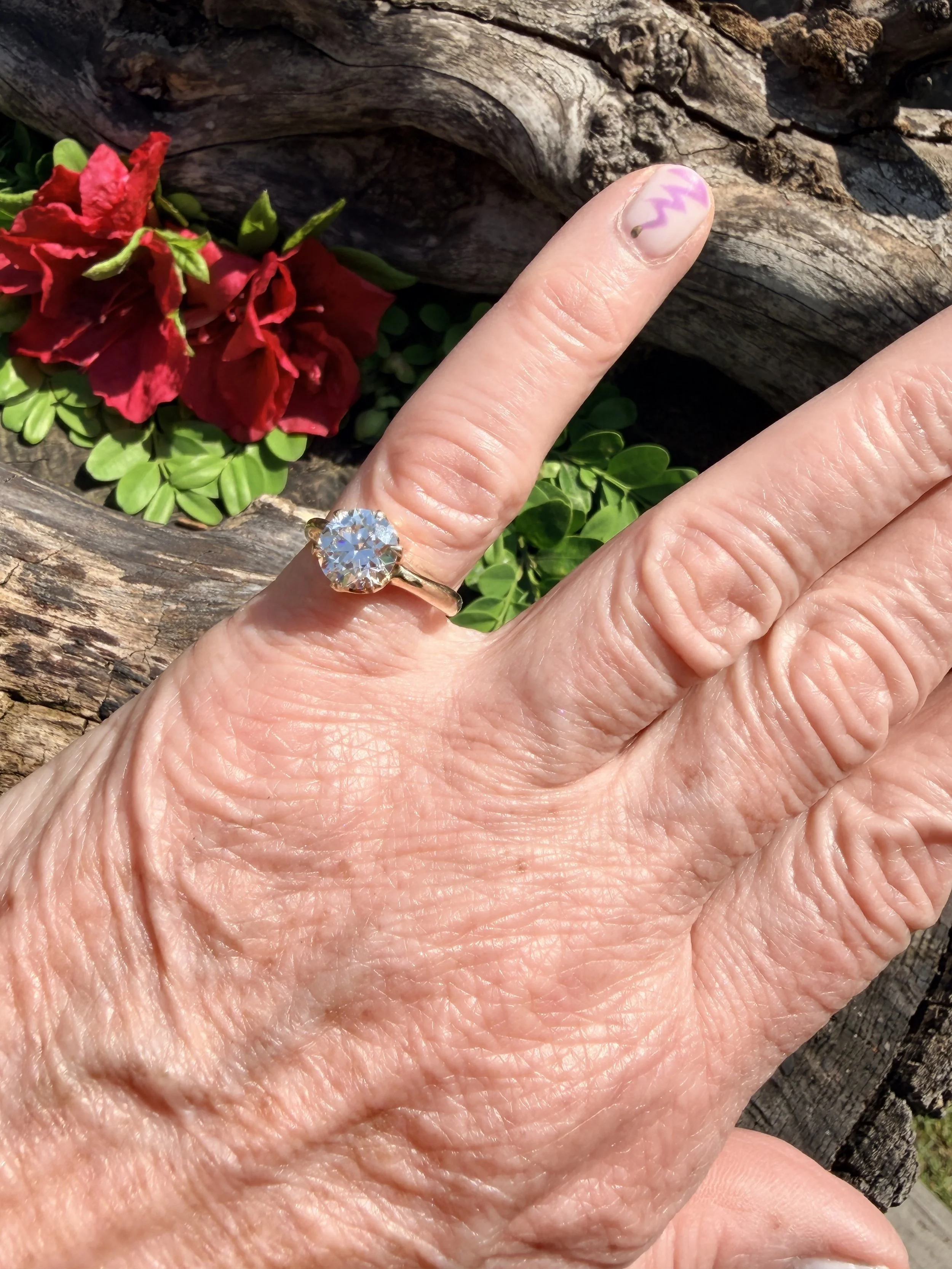 IMG_9536.JPG