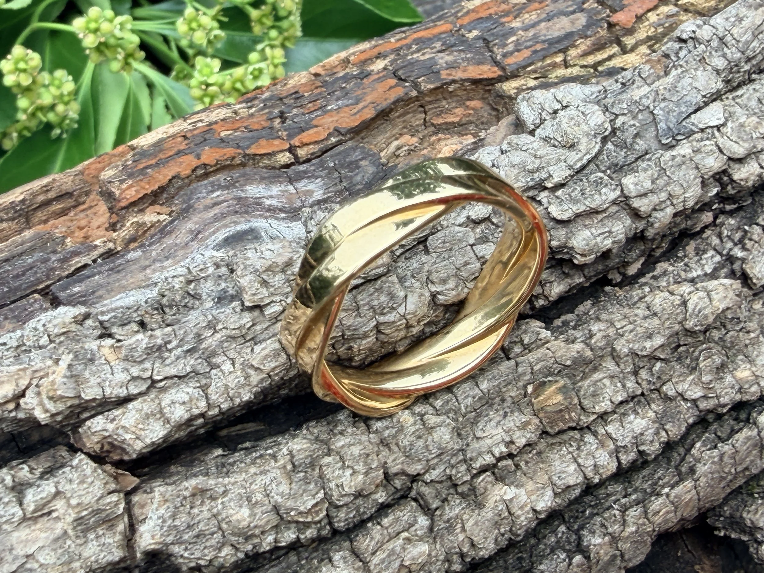 IMG_6962.JPG
