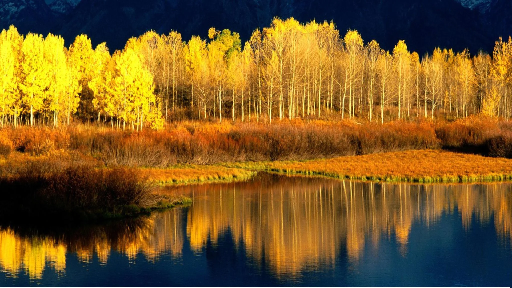 2048x1152-pando-slide3.jpg