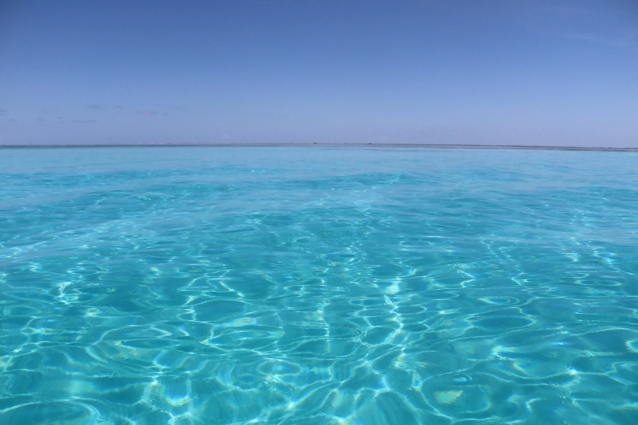 A DIVE INTO TANZANIAN WATERS