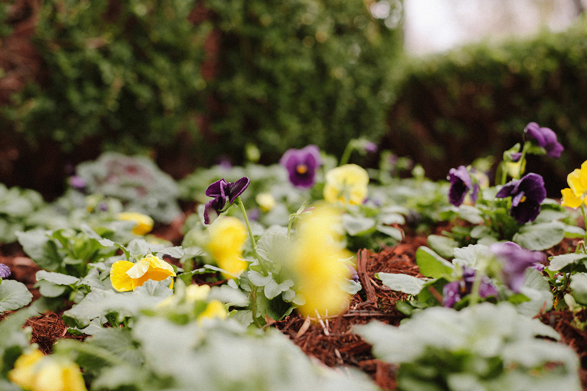 Lanscaping-CoffeyComplete-00022.jpg