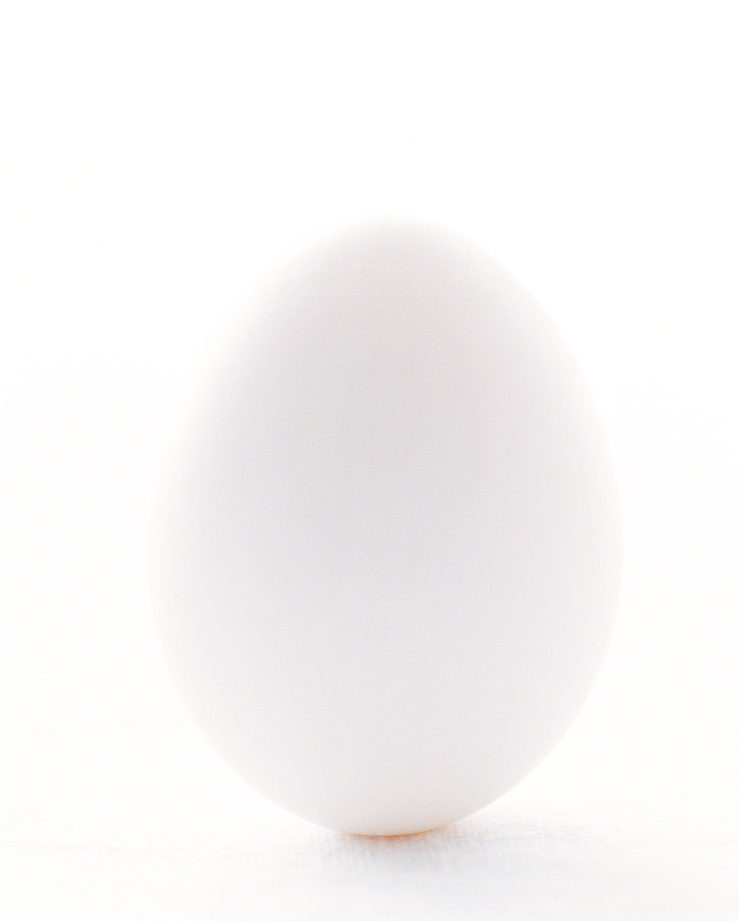 7_egg.png