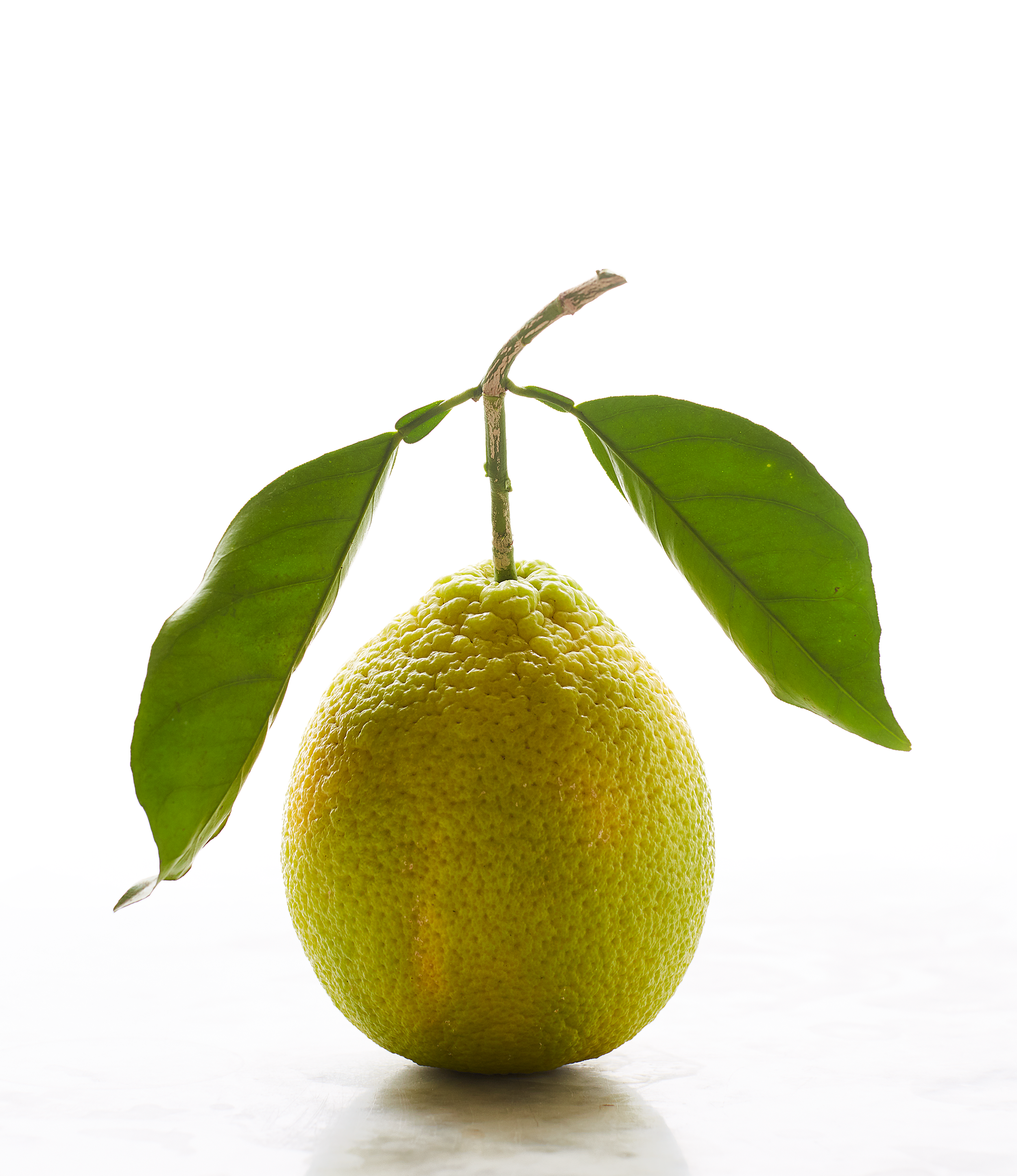 11_lemon.png