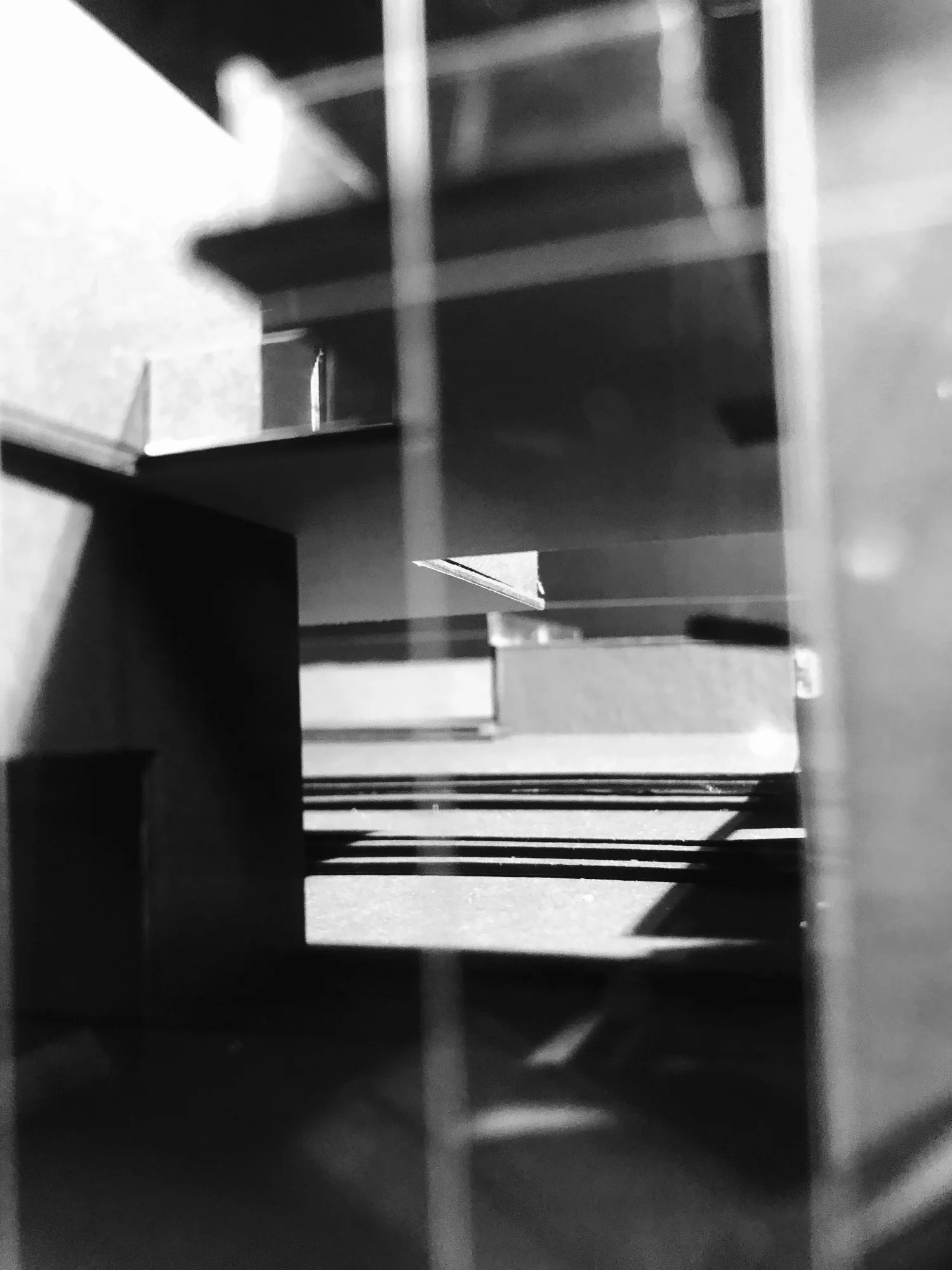 IMG_2636 (1).jpg