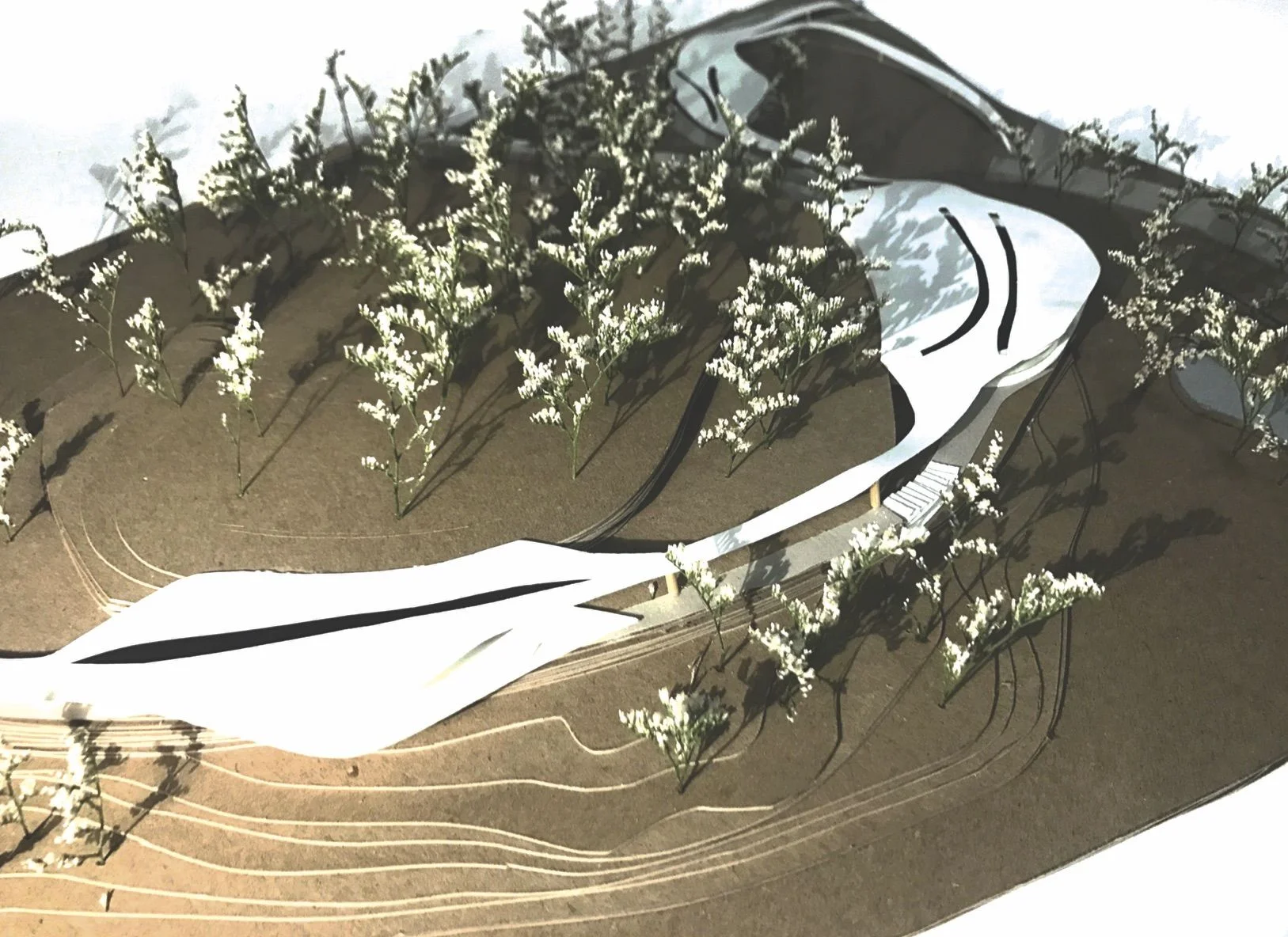  Site Model 