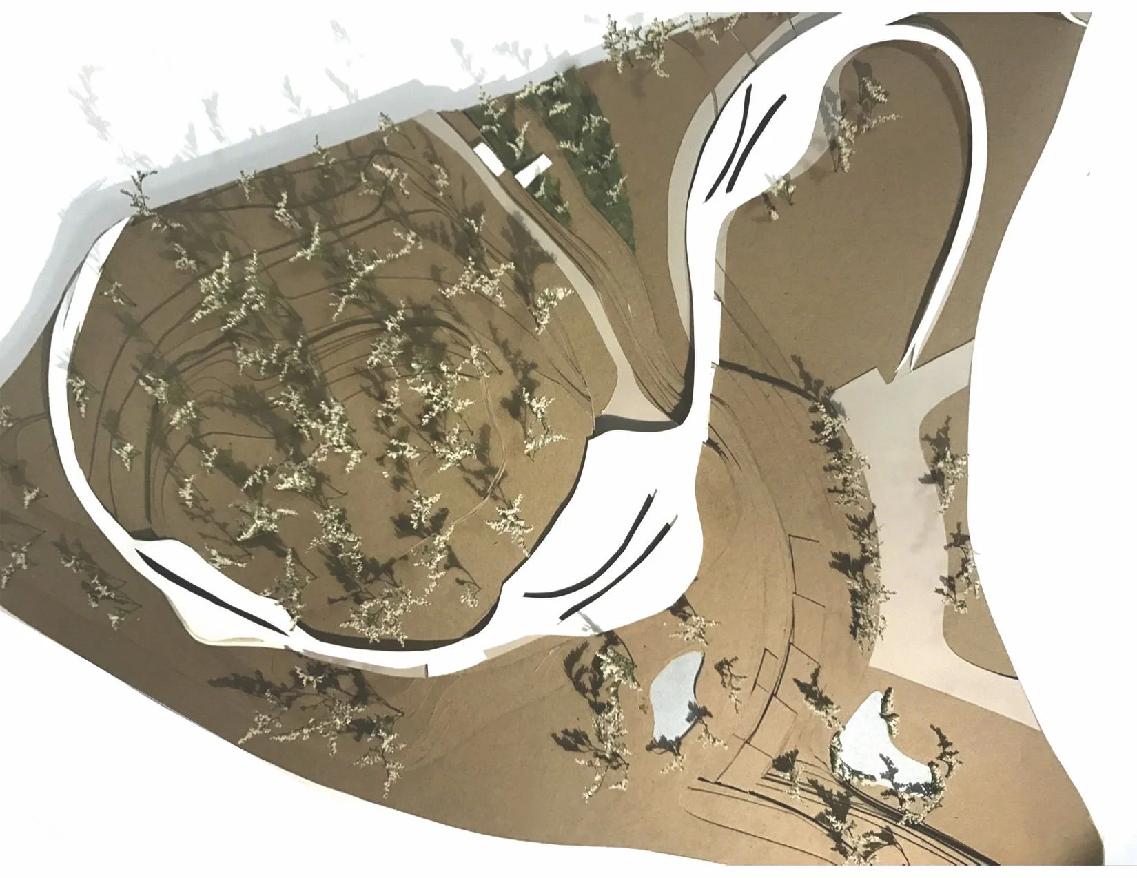  Site Model 