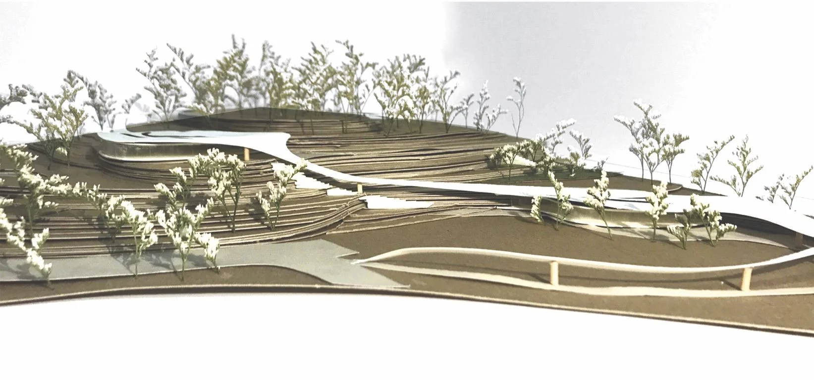  Site Model 